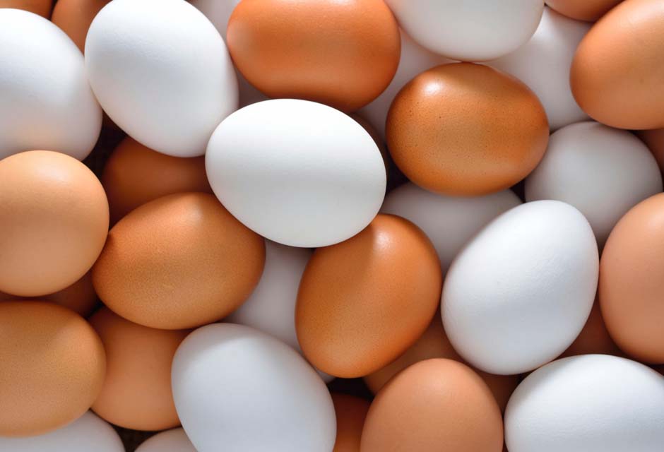 eggs - La cosa… ¡va de huevos!